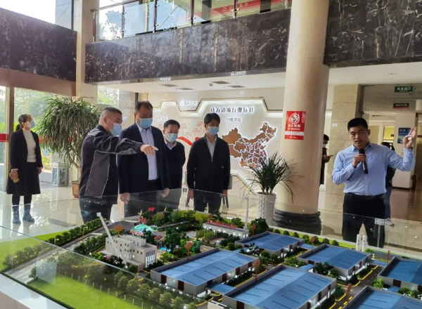 1667381856555256.png 05.png