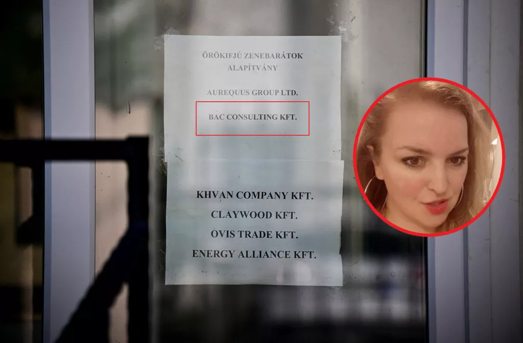 夺命寻呼机:起底美女CEO 前任雇主没一句好话