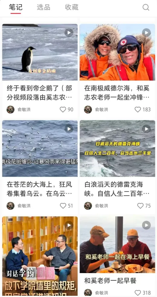 撑不住了，他们押宝中国