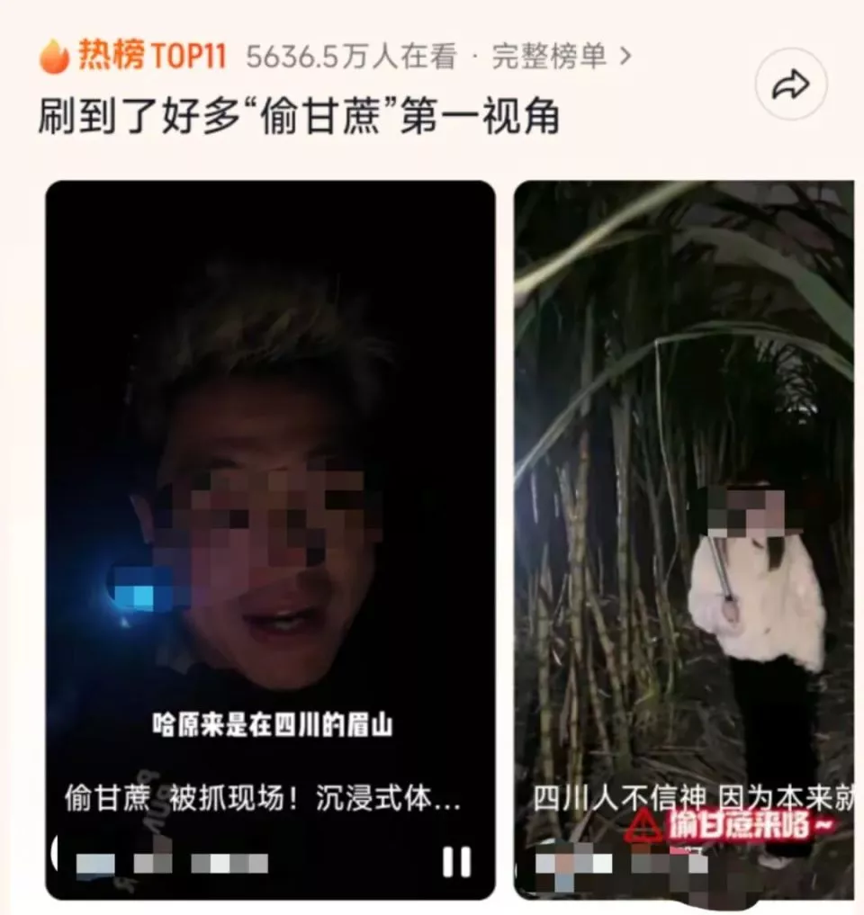 9.9元“偷甘蔗”爆火，人流量暴涨，老板亏出血