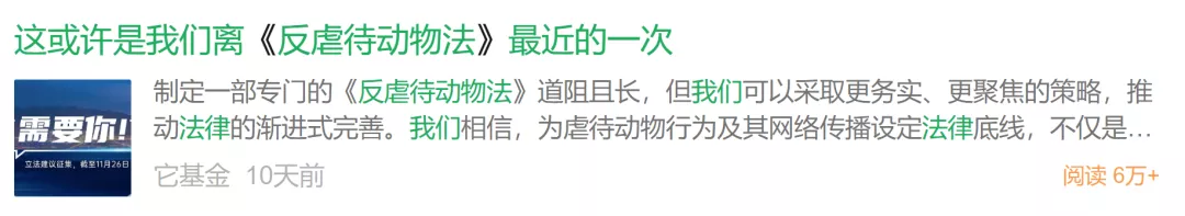 “反虐待动物”立法征集：虐杀动物应该付法律代价吗？
